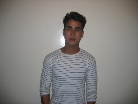 taoufik